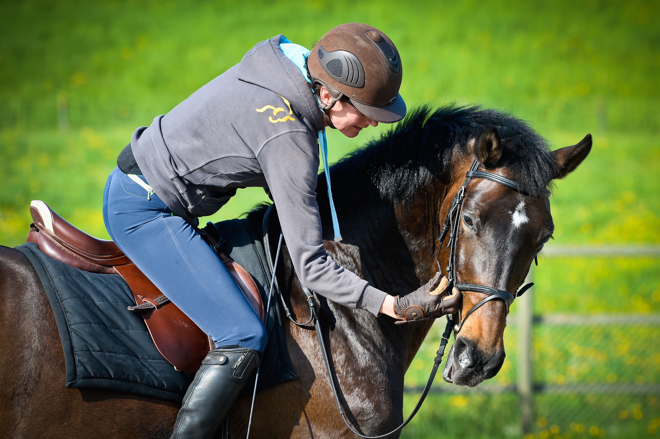 Pferd in der Bewegung auf dem Reitplatz